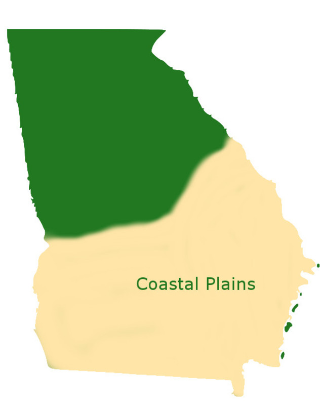 georgia map coastal plain        <h3 class=